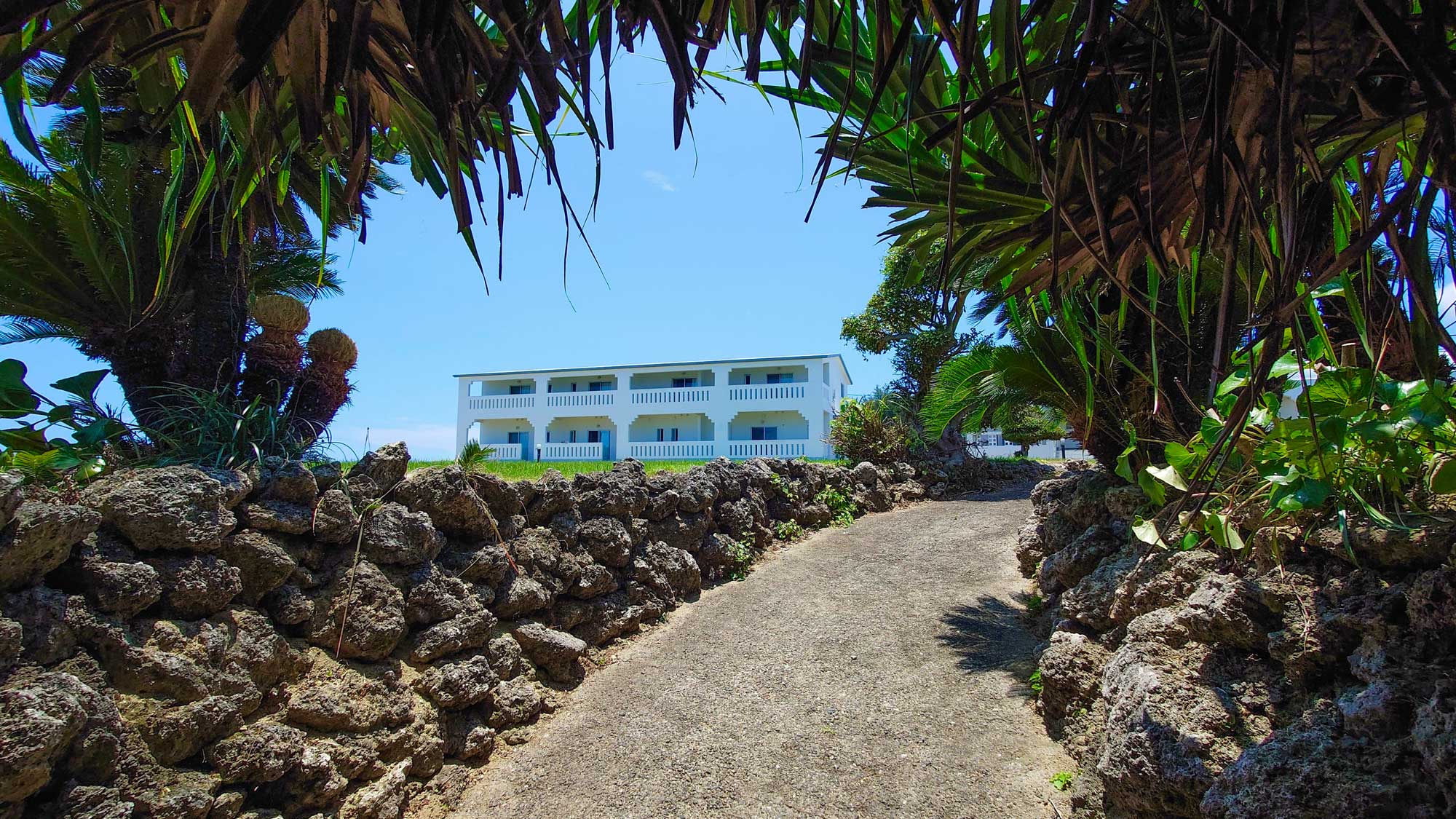 木陰から覗くホテル